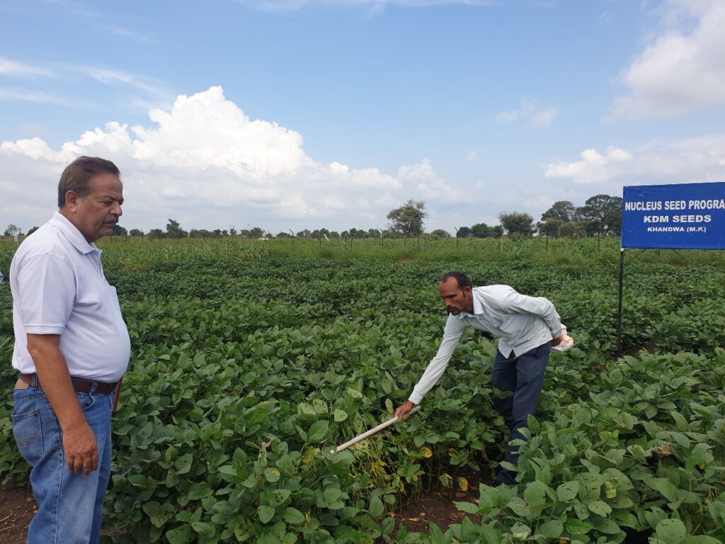 Quality Seeds in India